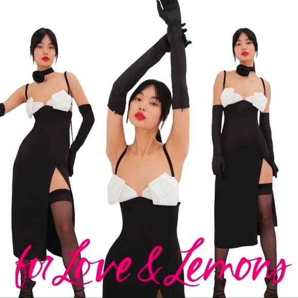 For love & Lemons🖤🤍 Midi Dress w/ roses• NWT • MEDIUM - Picture 2 of 12